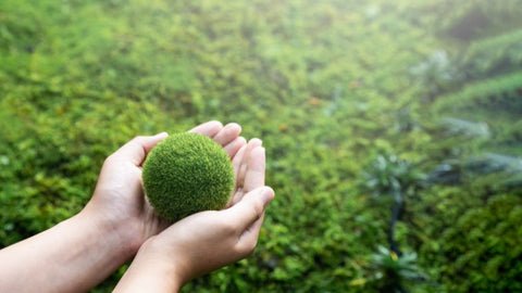 combat the challenges posed by Pakistan's climate